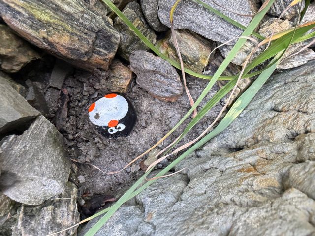Hand-painted penguin stone #1542 hidden at Skwer Pamieci, Lubien, Poland (photo 4 of 5)