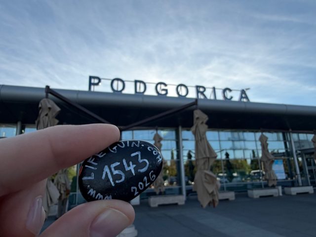 Hand-painted penguin stone #1543 hidden at Podgorica Airport, Golubovci, Montenegro (photo 2 of 4)