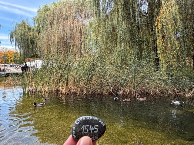 Hand-painted penguin stone #1545 hidden at Polish Airmen Park Park, Krakow, Poland (photo 2 of 4)