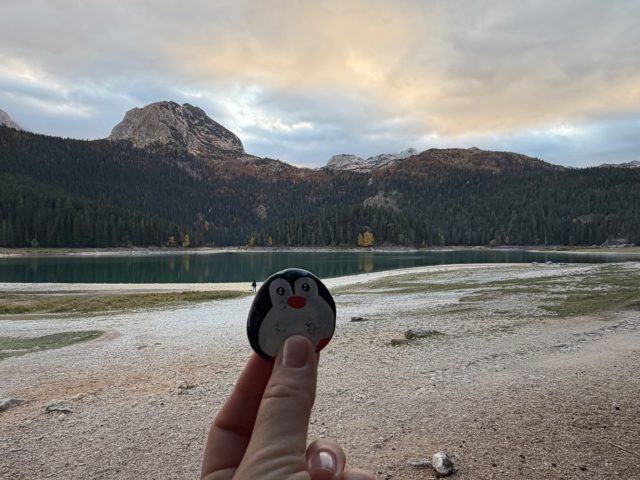 Hand-painted penguin stone #1546 hidden at Black Lake, Durmitor National Park, Montenegro (photo 5 of 5)