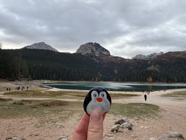 Hand-painted penguin stone #1546 hidden at Black Lake, Durmitor National Park, Montenegro