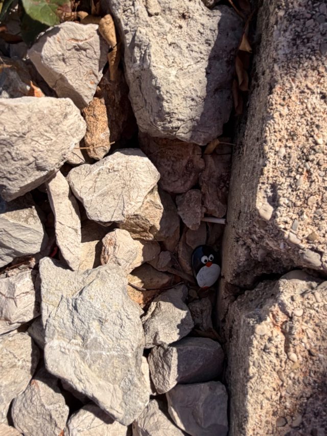 Hand-painted penguin stone #1547 hidden at Slano Lake, Slano Lake, Montenegro (photo 3 of 5)