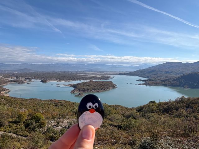 Hand-painted penguin stone #1547 hidden at Slano Lake, Slano Lake, Montenegro