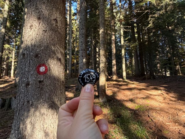 Hand-painted penguin stone #1549 hidden at Parking Barno, Durmitor NP, Montenegro (photo 2 of 5)