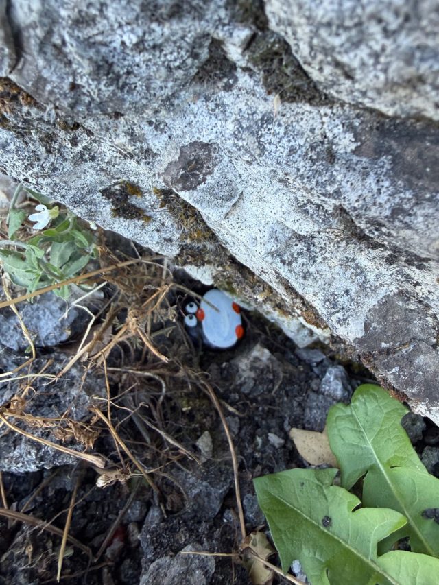 Hand-painted penguin stone #1552 hidden at Restaurant Nevjesta Jadrana, Cetinje, Montenegro (photo 3 of 4)