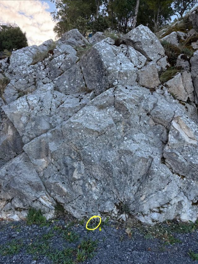 Hand-painted penguin stone #1552 hidden at Restaurant Nevjesta Jadrana, Cetinje, Montenegro (photo 4 of 4)