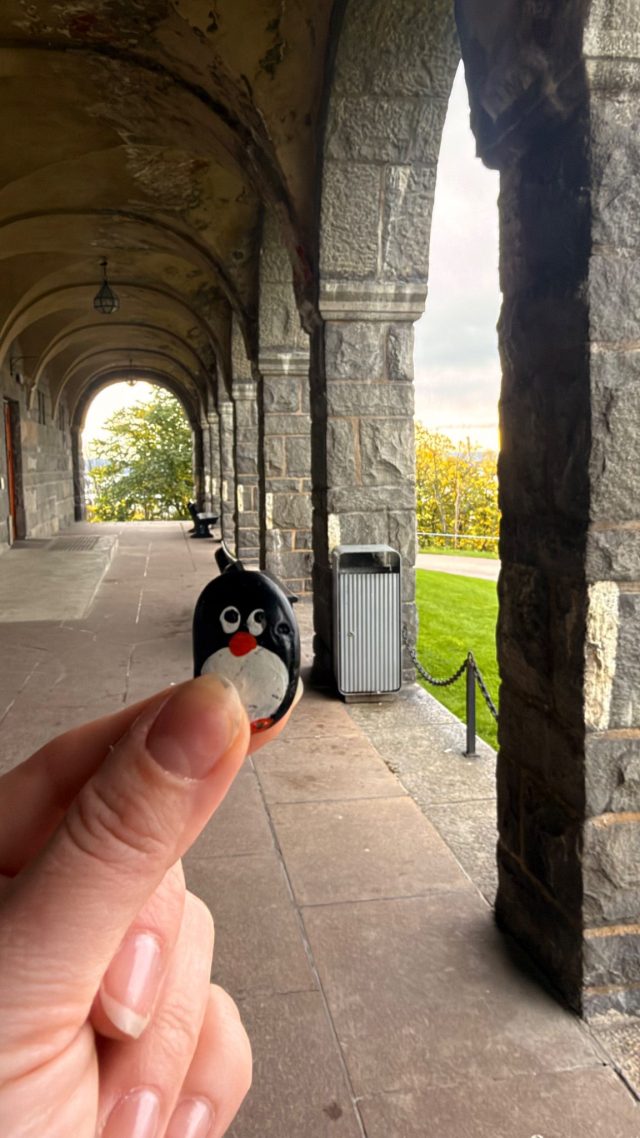Hand-painted penguin stone #1554 hidden at Kongshavn High School, Oslo, Norway (photo 4 of 5)