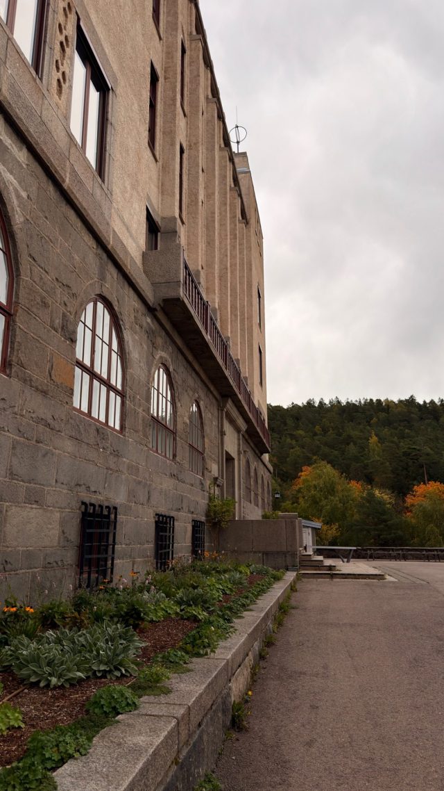 Hand-painted penguin stone #1554 hidden at Kongshavn High School, Oslo, Norway (photo 5 of 5)