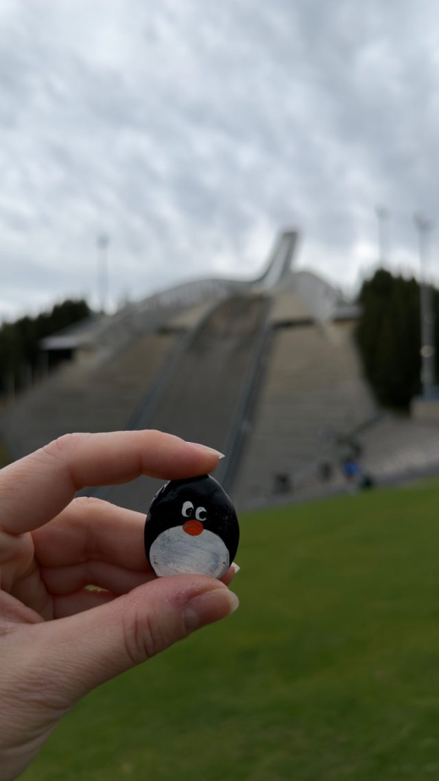 Hand-painted penguin stone #1557 hidden at Holmenkollbakken, Oslo, Norway (photo 4 of 5)