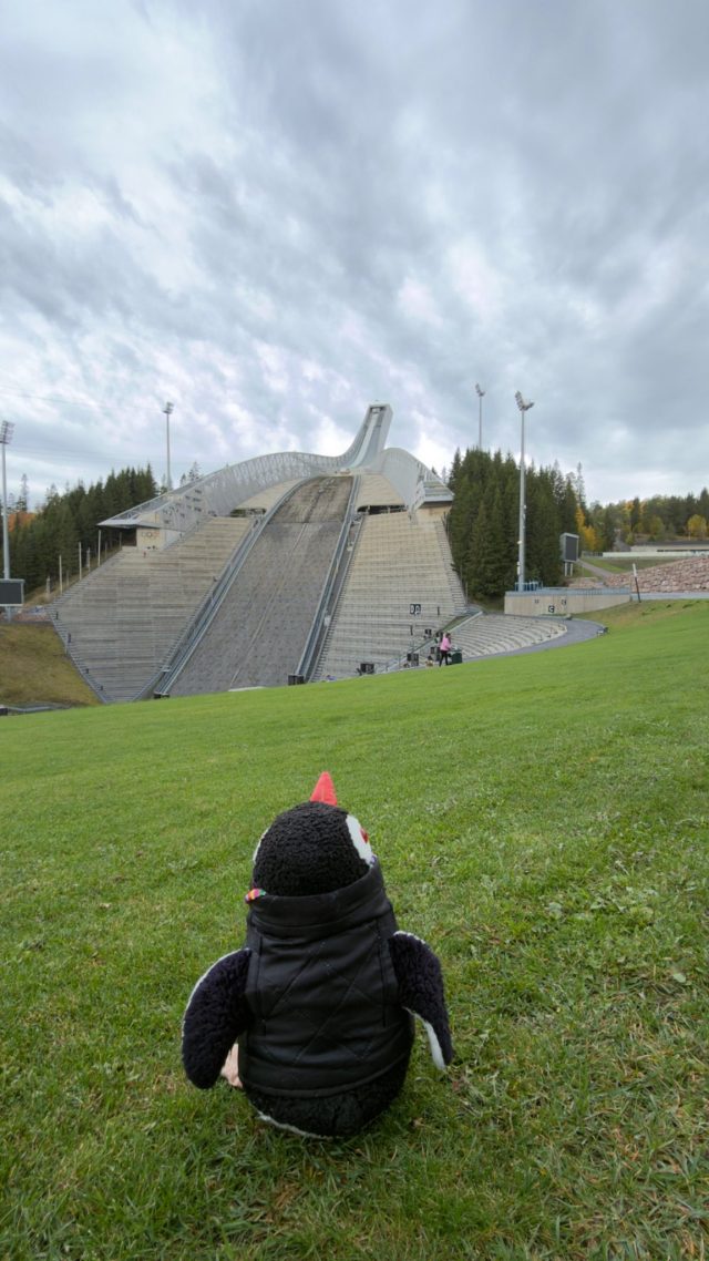 Hand-painted penguin stone #1557 hidden at Holmenkollbakken, Oslo, Norway (photo 5 of 5)