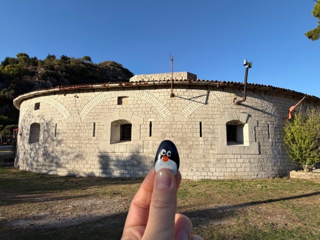 Hand-painted penguin stone #1559 hidden at Fort Trojica, Skaljari, Montenegro