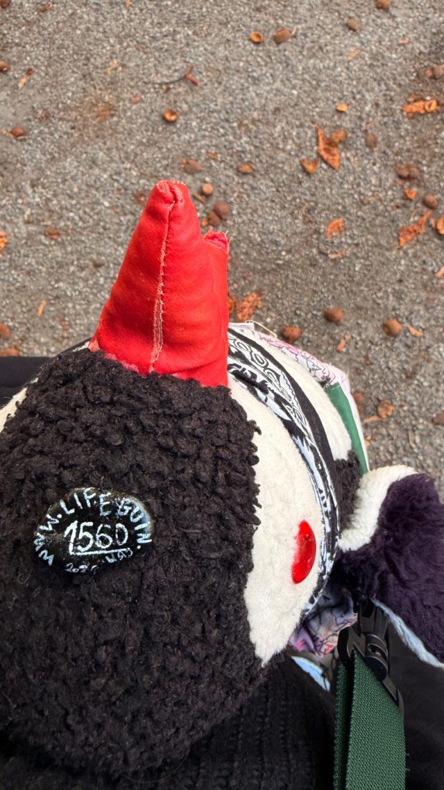 Hand-painted penguin stone #1560 hidden at Akershus Fortress Stage, Oslo, Norway (photo 3 of 5)