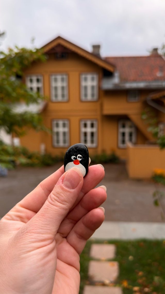 Hand-painted penguin stone #1561 hidden at Tree next to Karlsborg Spiseforretnong, Oslo, Norway (photo 4 of 5)