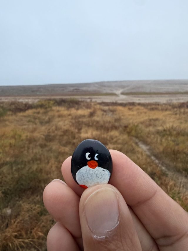 Hand-painted penguin stone #1567 hidden at Danubias View Hotel, Kozloduy, Bulgaria (photo 5 of 5)