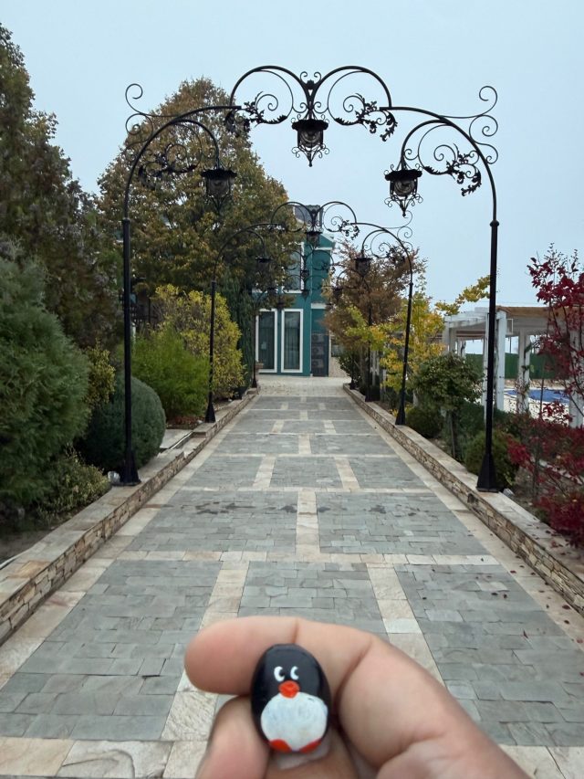 Hand-painted penguin stone #1567 hidden at Danubias View Hotel, Kozloduy, Bulgaria