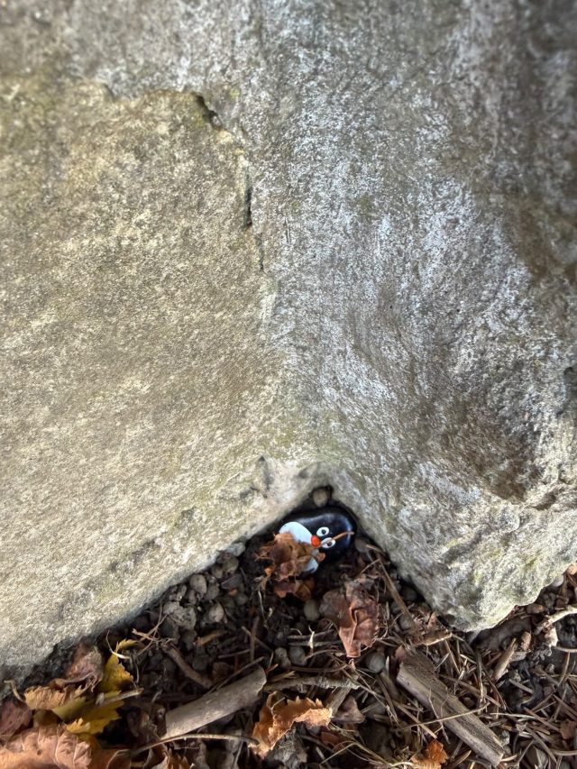 Hand-painted penguin stone #1569 hidden at Kostol sv. Michala archanjela, Sedliacka Dubova, Slovakia (photo 3 of 4)