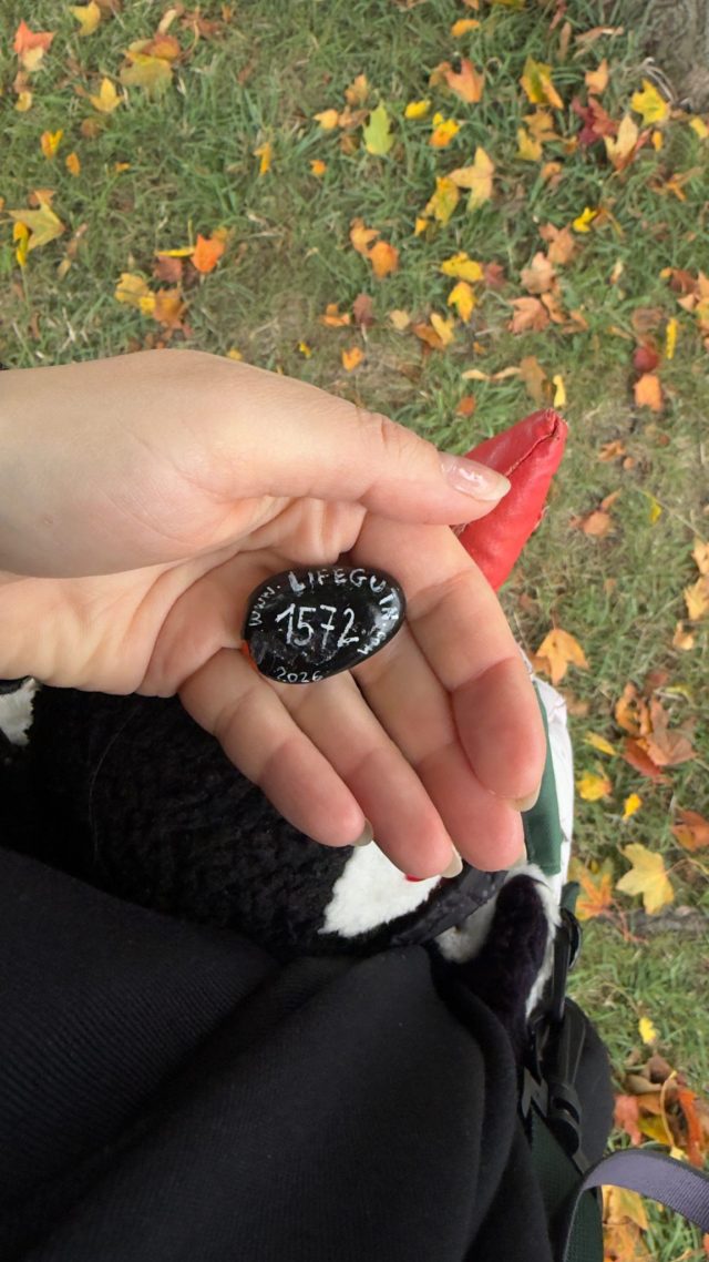 Hand-painted penguin stone #1572 hidden at Tree Trunk at Fortress, Oslo, Norway (photo 3 of 5)