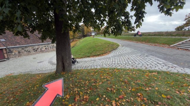 Hand-painted penguin stone #1572 hidden at Tree Trunk at Fortress, Oslo, Norway (photo 4 of 5)