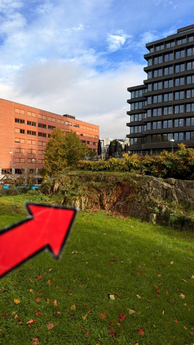 Hand-painted penguin stone #1573 hidden at Kontraskjaeret, Oslo, Norway (photo 2 of 4)
