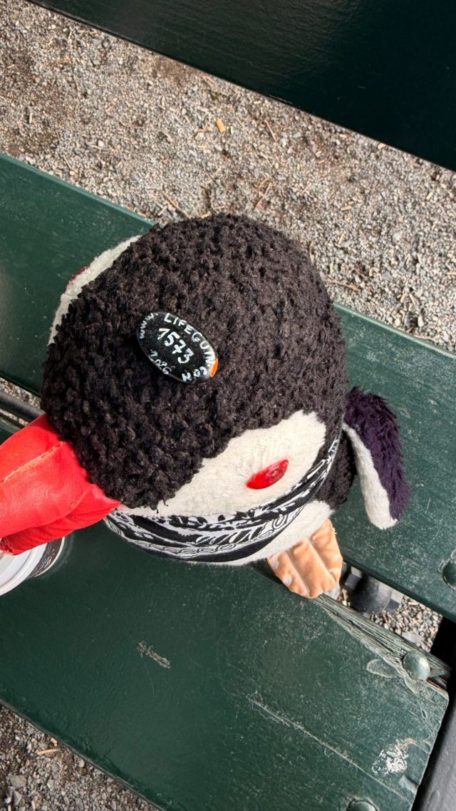 Hand-painted penguin stone #1573 hidden at Kontraskjaeret, Oslo, Norway (photo 3 of 4)