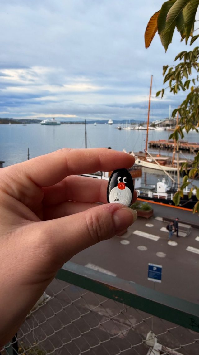 Hand-painted penguin stone #1573 hidden at Kontraskjaeret, Oslo, Norway (photo 4 of 4)