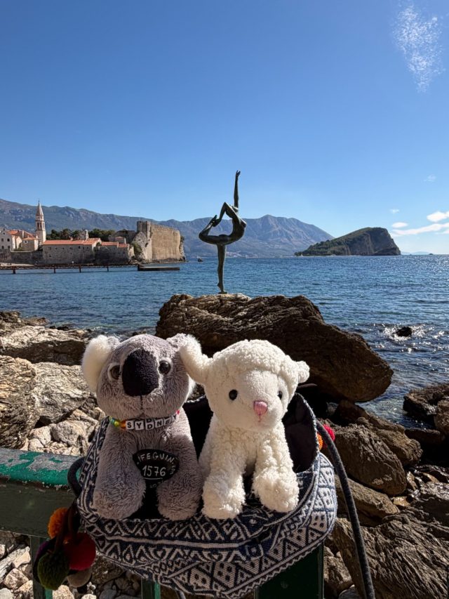 Hand-painted penguin stone #1576 hidden at Budva Ballerina, Budva, Montenegro (photo 2 of 5)