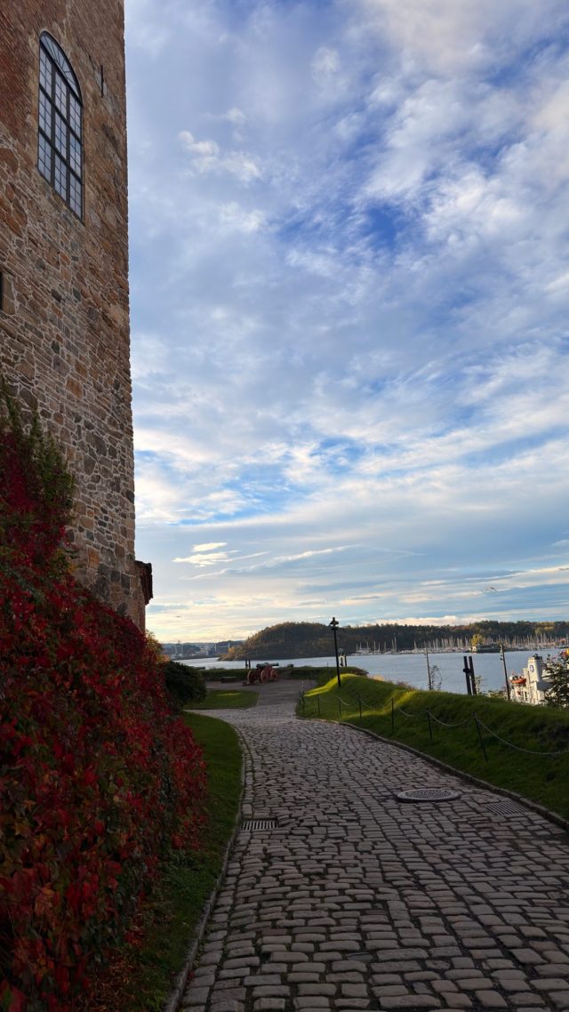 Hand-painted penguin stone #1582 hidden at Akershus Fortress Viewpoint, Oslo, Norway (photo 2 of 5)