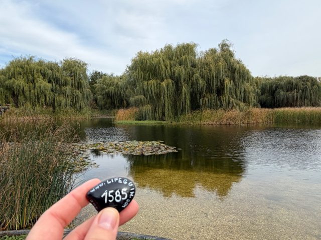 Hand-painted penguin stone #1585 hidden at Stawy w Parku Lotnikow, Krakow, Poland (photo 2 of 5)