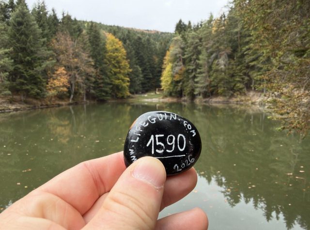 Hand-painted penguin stone #1590 hidden at Turzov Lake, Gelnica, Slovakia (photo 2 of 5)