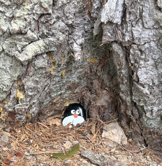 Hand-painted penguin stone #1590 hidden at Turzov Lake, Gelnica, Slovakia (photo 5 of 5)