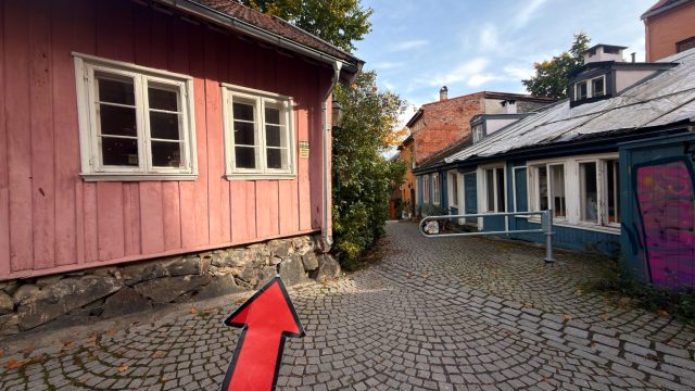 Hand-painted penguin stone #1592 hidden at Hammersborg Barnehage, Oslo, Norway (photo 2 of 5)