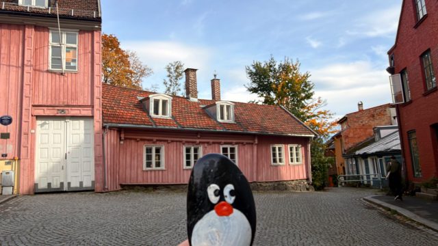 Hand-painted penguin stone #1592 hidden at Hammersborg Barnehage, Oslo, Norway
