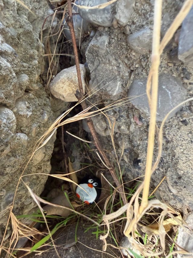 Hand-painted penguin stone #1593 hidden at Niagara Waterfall, Tuzi, Montenegro (photo 3 of 5)