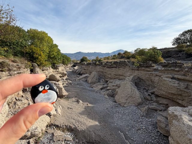 Hand-painted penguin stone #1593 hidden at Niagara Waterfall, Tuzi, Montenegro