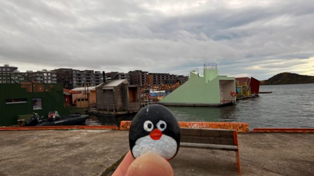 Hand-painted penguin stone #1594 hidden at Oslo Sauna Association, Oslo, Norway