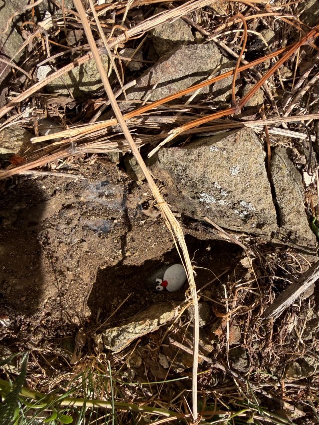 Hand-painted penguin stone #1635 hidden at New Castle, Banska Stiavnica, Slovakia (photo 4 of 5)