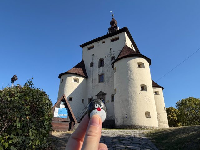 Hand-painted penguin stone #1635 hidden at New Castle, Banska Stiavnica, Slovakia