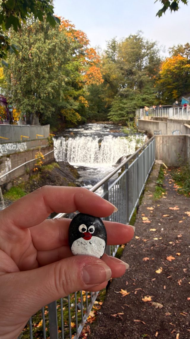 Hand-painted penguin stone #1685 hidden at Fisketrappen Nedre Foss, Oslo, Norway (photo 2 of 5)