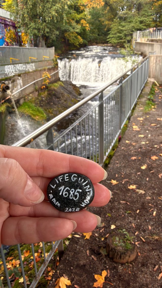 Hand-painted penguin stone #1685 hidden at Fisketrappen Nedre Foss, Oslo, Norway (photo 3 of 5)