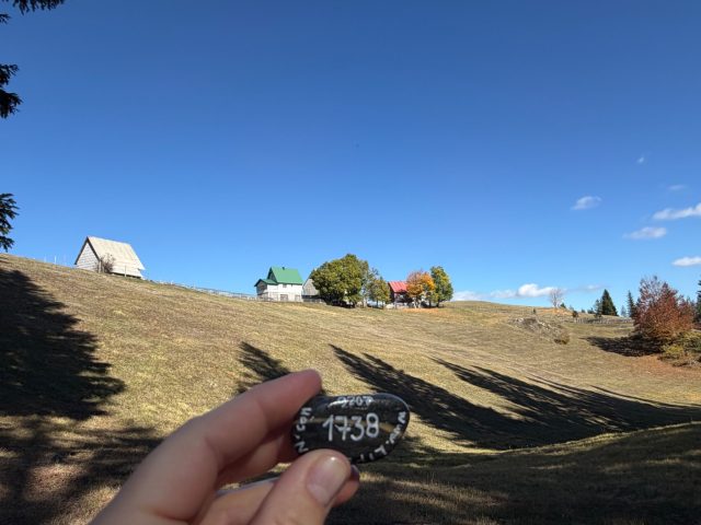 Hand-painted penguin stone #1738 hidden at By the Tree Hiking Sign, Bosaca, Montenegro (photo 2 of 5)