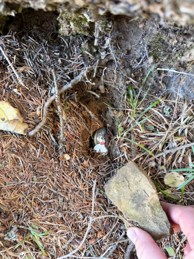 Hand-painted penguin stone #1738 hidden at By the Tree Hiking Sign, Bosaca, Montenegro (photo 5 of 5)