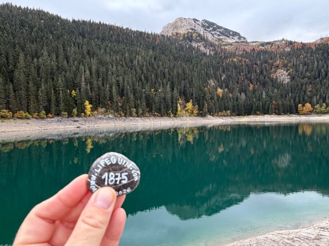 Hand-painted penguin stone #1875 hidden at Black lake, Durmitor NP, Montenegro (photo 2 of 5)