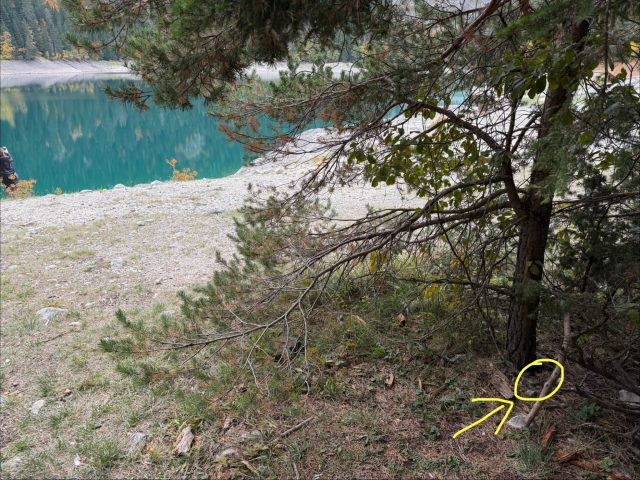 Hand-painted penguin stone #1875 hidden at Black lake, Durmitor NP, Montenegro (photo 4 of 5)