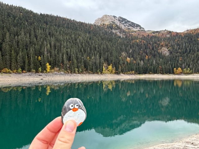 Hand-painted penguin stone #1875 hidden at Black lake, Durmitor NP, Montenegro