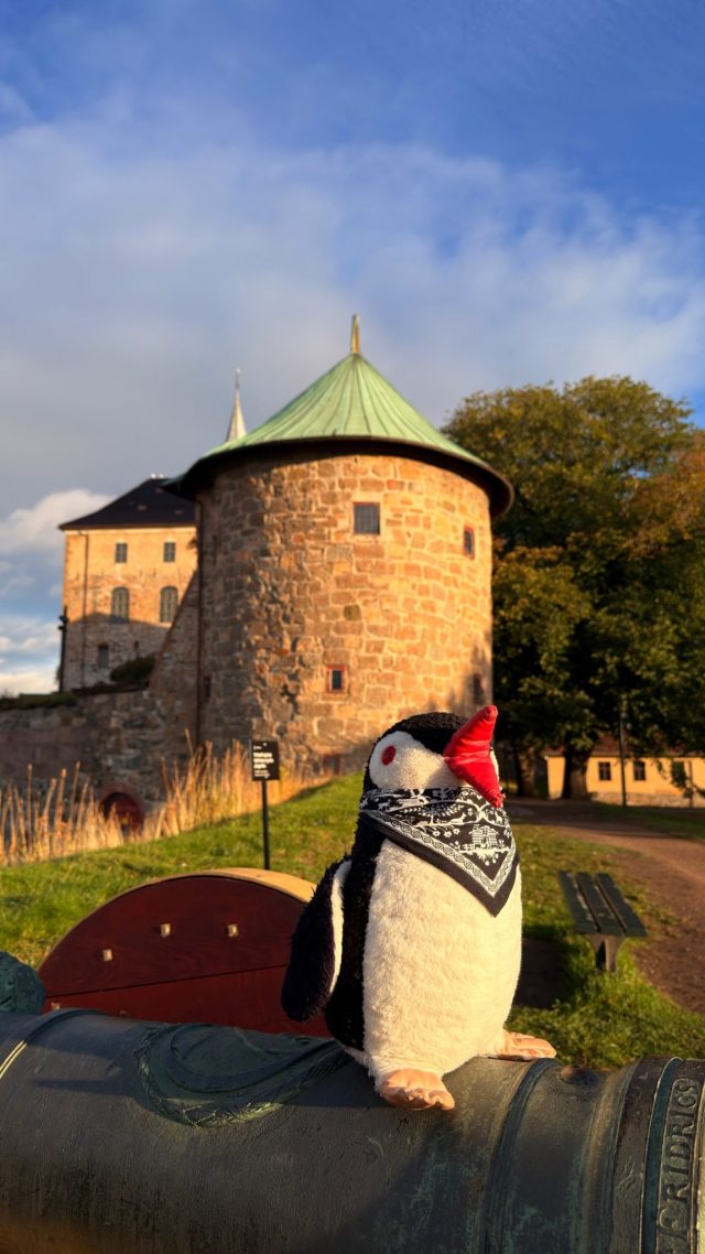 Hand-painted penguin stone #1894 hidden at Akershus Fortress Tower, Oslo, Norway (photo 5 of 5)