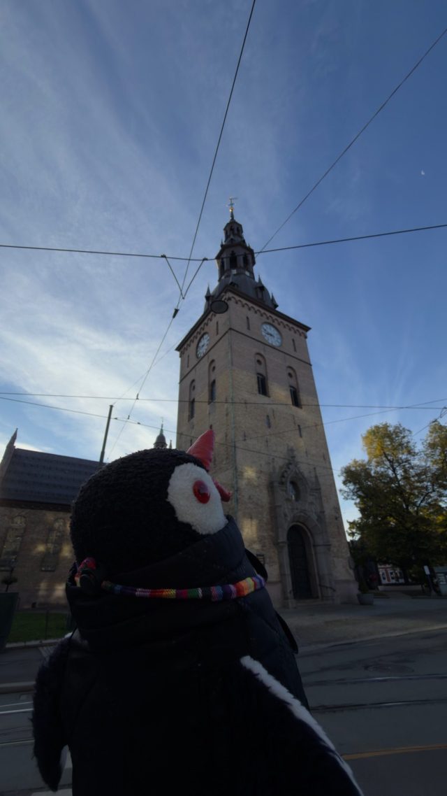 Hand-painted penguin stone #2174 hidden at Oslo Cathedral, Oslo, Norway (photo 3 of 5)