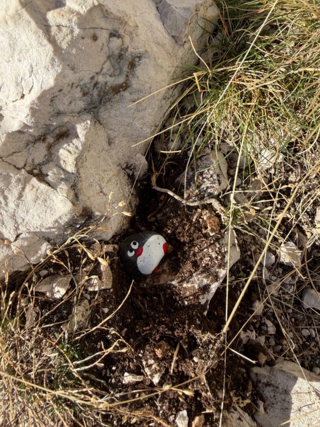 Hand-painted penguin stone #2194 hidden at Mausoleum of Petar II Petrovic Njegos, Cetinje, Montenegro (photo 4 of 5)
