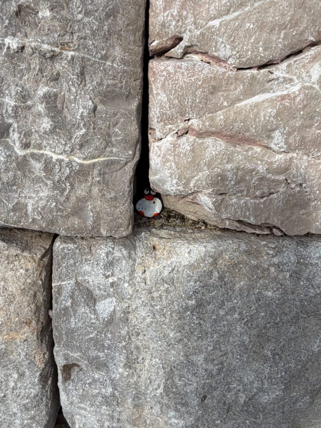 Hand-painted penguin stone #2239 hidden at Old Town Budva, Cetinje, Montenegro (photo 3 of 5)