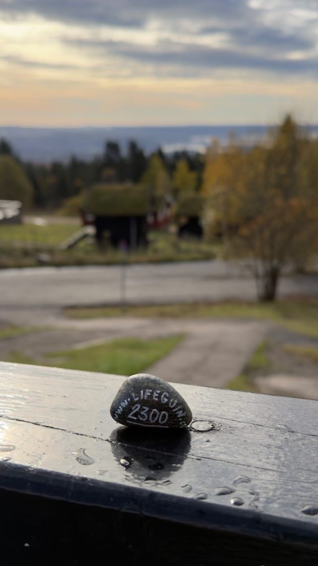 Hand-painted penguin stone #2300 hidden at Reist af Bankchef F. H. Frolich Monument, Oslo, Norway (photo 4 of 5)