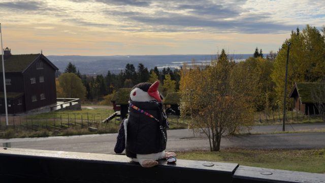 Hand-painted penguin stone #2300 hidden at Reist af Bankchef F. H. Frolich Monument, Oslo, Norway
